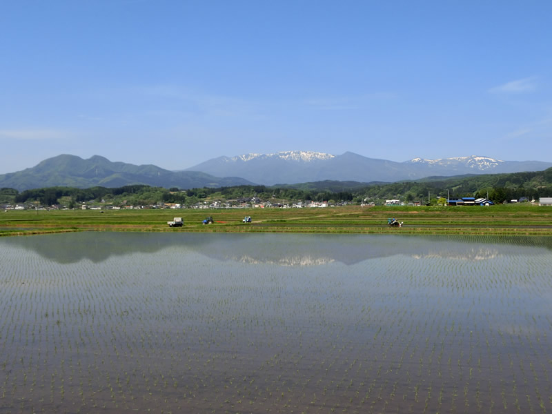 水田に映る逆さ蔵王