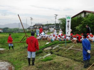 田植え作業体験1