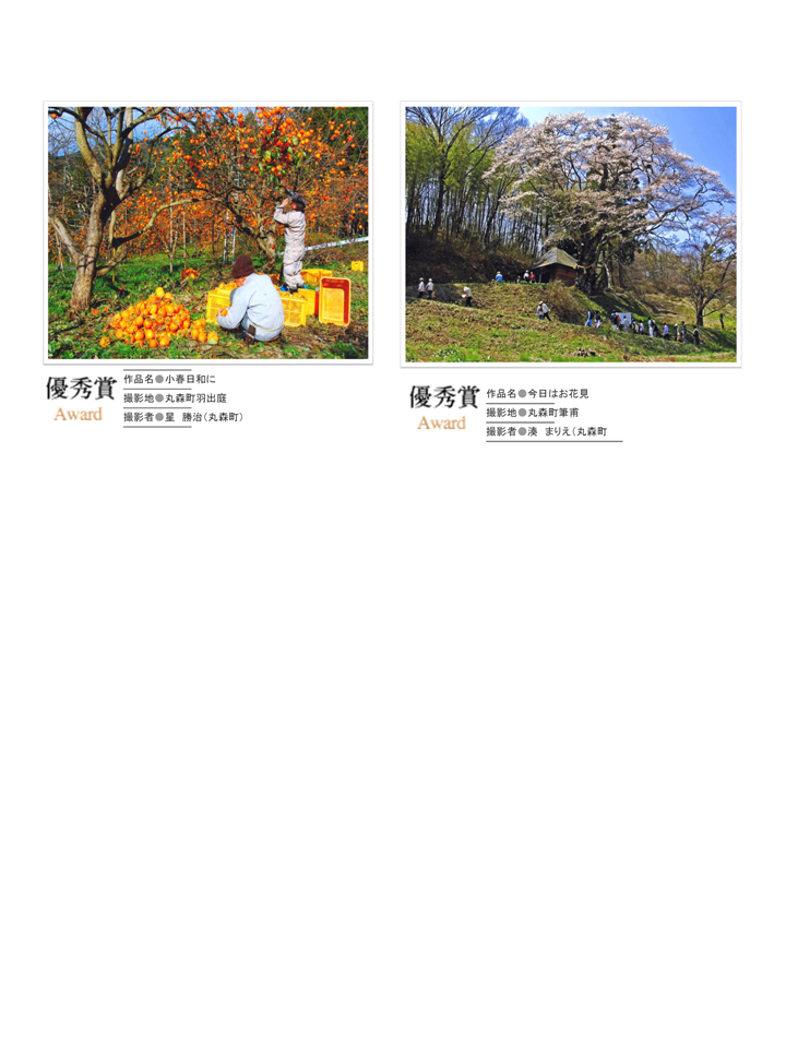 H19入選作品②