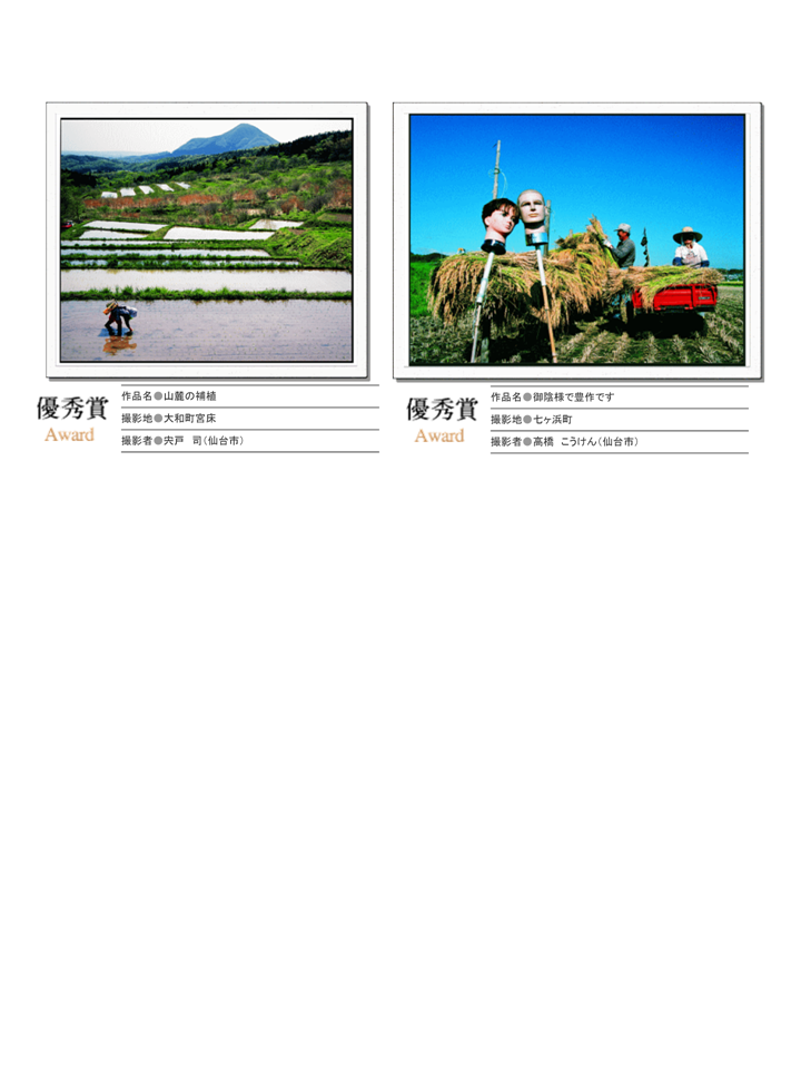 H18入選作品②