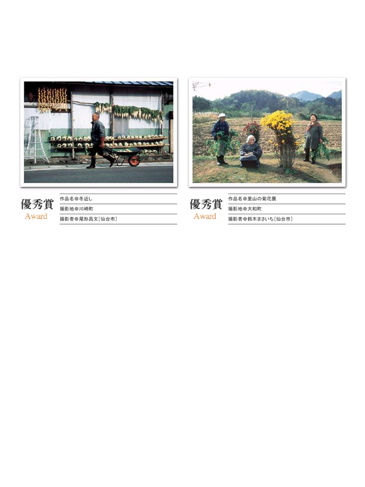 H15入選作品②