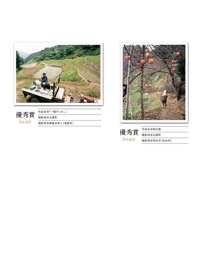 H14入選作品②