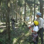 第8回内川水土里の路ウォーク7