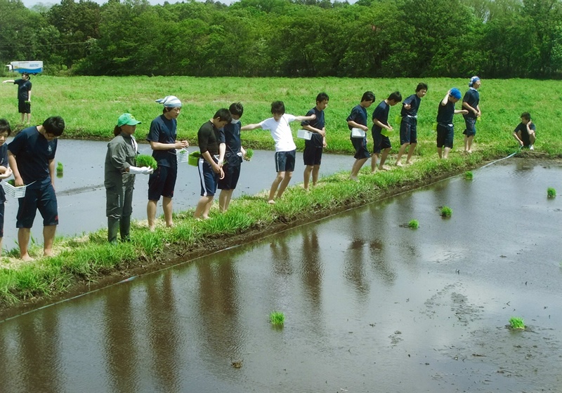 新たな気持ちで新米を