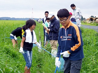 水路の生き物調査の様子