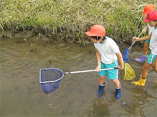 網による生き物調査