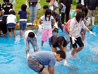 魚の掴み取り