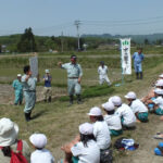 H26年度 田植え作業体験01