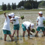 H26年度 田植え作業体験04