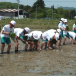 H26年度 田植え作業体験05