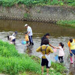 田んぼの生き物調査2008②