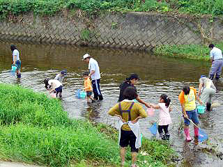 田んぼの生き物調査2008②