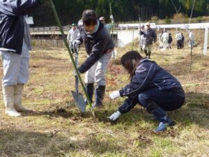 H23植樹祭（栗原市）①