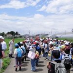 H23 地域環境と生き物調査①