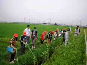 大沼付近環境調査①