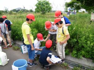 大沼付近環境調査②