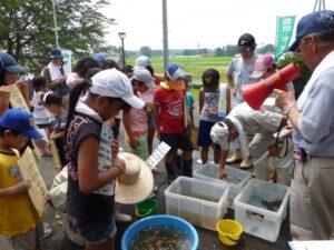 田んぼの生き物調査2010③