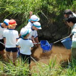 H21 生き物調査（坂元川）2