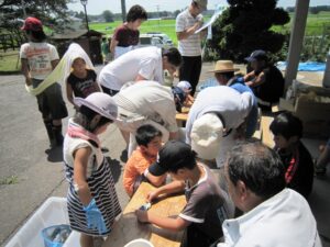 田んぼの生き物調査2011②