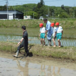 田植え体験3