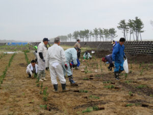 H28植樹活動④