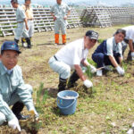 H29植樹活動④