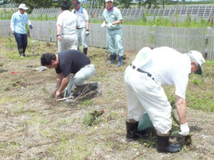 H29植樹活動⑤