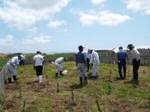 H29植樹活動⑥