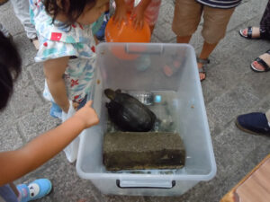 生き物ふれあいコーナー2