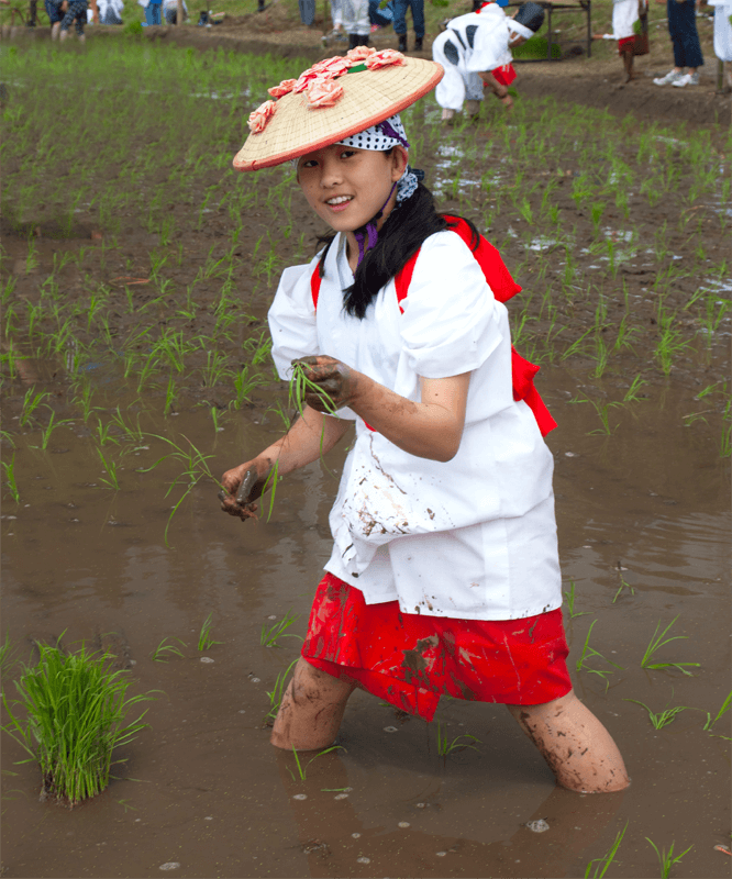 お田植えまつり