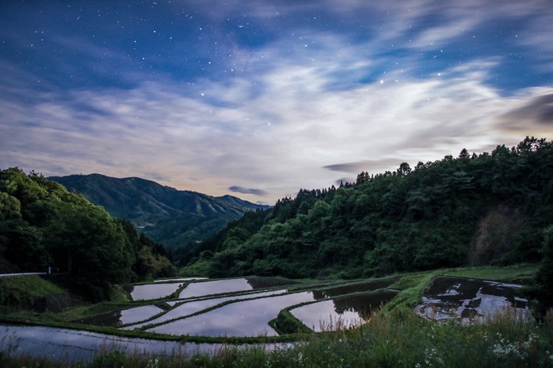 月明りの棚田